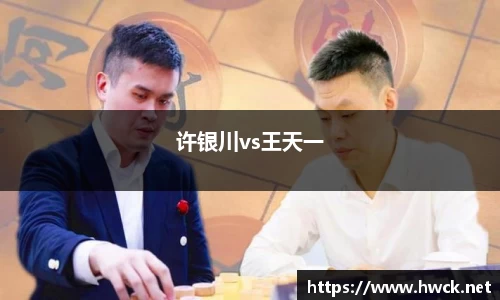 许银川vs王天一