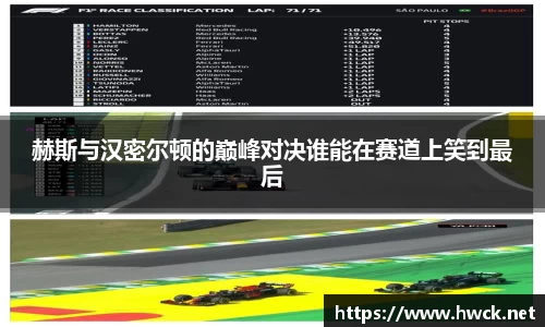 赫斯与汉密尔顿的巅峰对决谁能在赛道上笑到最后