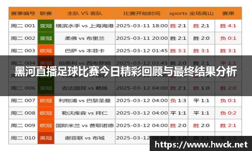 黑河直播足球比赛今日精彩回顾与最终结果分析