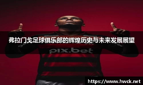 弗拉门戈足球俱乐部的辉煌历史与未来发展展望