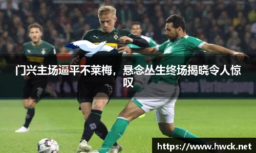 门兴主场逼平不莱梅，悬念丛生终场揭晓令人惊叹
